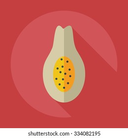 Flat modern design with shadow icons avocado