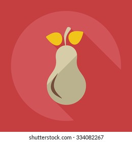 Flat modern design with shadow icons pear