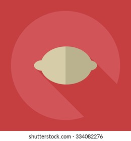 Flat modern design with shadow icons lemon
