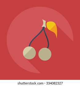 Flat modern design with shadow icons cherry