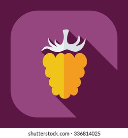 Flat modern design with shadow icons raspberries