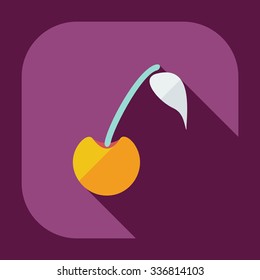 Flat modern design with shadow icons cherries