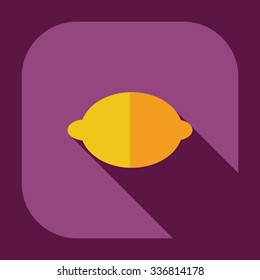 Flat modern design with shadow icons lemon