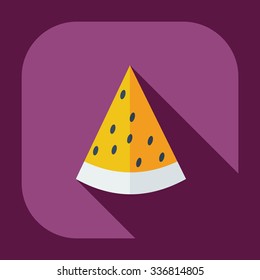 Flat modern design with shadow icons watermelon