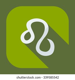 Flat modern design with shadow icons lion