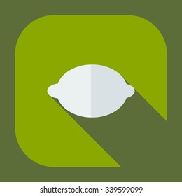 Flat modern design with shadow icons lemon
