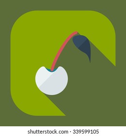 Flat modern design with shadow icons cherries