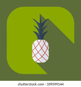 Flat modern design with shadow icons pineapple
