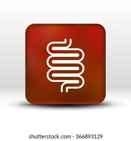 Flat modern design with shadow icons large intestine.