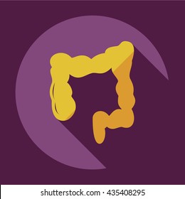 Flat modern design with shadow icons large intestine
