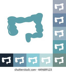 Flat modern design with shadow icons large intestine