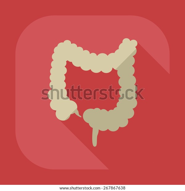 Flat
modern design with shadow icons large
intestine