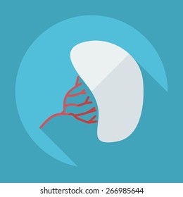 Flat modern design with shadow liver medical icon