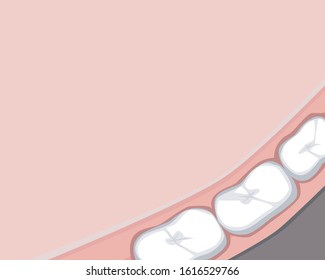 Flat molar with jaw after visiting the dentist or orthodontist and place for text. Vector stock illustration with healthy teeth and copyspace for dental clinic.