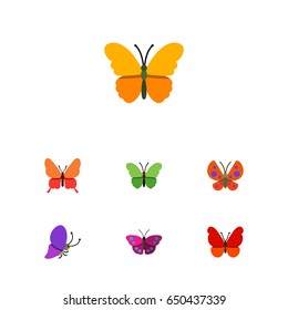 Flat Monarch Set Of Archippus, Butterfly, Milkweed And Other Vector Objects. Also Includes Archippus, Monarch, Butterfly Elements.
