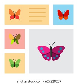 Flat Monarch Set Of Beauty Fly, Milkweed, Monarch And Other Vector Objects. Also Includes Butterfly, Milkweed, Archippus Elements.