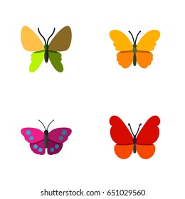 Flat Monarch Set Of Monarch, Beauty Fly, Archippus And Other Vector Objects. Also Includes Archippus, Butterfly, Monarch Elements.