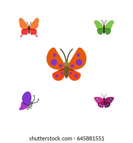 Flat Monarch Set Of Milkweed, Moth, Summer Insect And Other Vector Objects. Also Includes Butterfly, Archippus, Milkweed Elements.