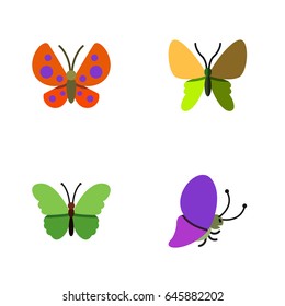 Flat Monarch Set Of Moth, Beauty Fly, Summer Insect And Other Vector Objects. Also Includes Moth, Butterfly Elements.