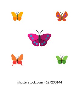Flat Monarch Set Of Moth, Danaus Plexippus, Butterfly And Other Vector Objects. Also Includes Moth, Milkweed, Archippus Elements.