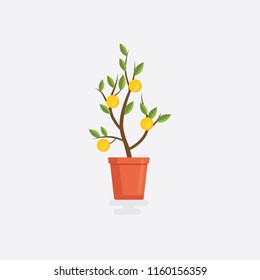 Flat money plant. Flat design tree with money dollar. Business investment symbol