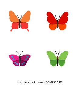 Flat Moth Set Of Archippus, Milkweed, Monarch And Other Vector Objects. Also Includes Butterfly, Milkweed, Moth Elements.