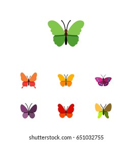 Flat Moth Set Of Archippus, Violet Wing, Monarch And Other Vector Objects. Also Includes Archippus, Milkweed, Butterfly Elements.
