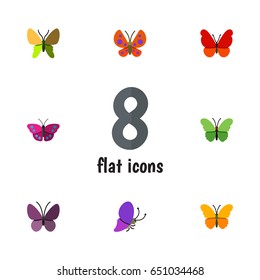 Flat Moth Set Of Archippus, Violet Wing, Summer Insect And Other Vector Objects. Also Includes Summer, Butterfly, Monarch Elements.