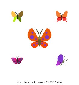 Flat Moth Set Of Moth, Beauty Fly, Summer Insect And Other Vector Objects. Also Includes Butterfly, Moth, Archippus Elements.