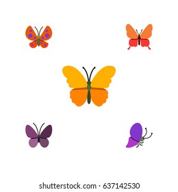 Flat Moth Set Of Moth, Danaus Plexippus, Violet Wing And Other Vector Objects. Also Includes Summer, Moth, Insect Elements.