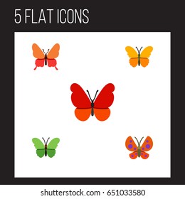 Flat Moth Set Of Milkweed, Butterfly, Monarch And Other Vector Objects. Also Includes Milkweed, Moth, Butterfly Elements.