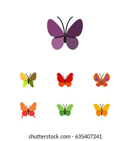 Flat Moth Set Of Moth, Milkweed, Monarch And Other Vector Objects. Also Includes Insect, Milkweed, Monarch Elements.