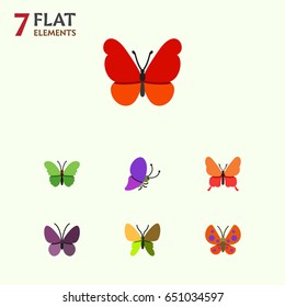 Flat Moth Set Of Milkweed, Moth, Monarch And Other Vector Objects. Also Includes Monarch, Insect, Summer Elements.