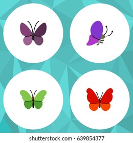 Flat Moth Set Of Milkweed, Violet Wing, Summer Insect And Other Vector Objects. Also Includes Moth, Butterfly, Insect Elements.