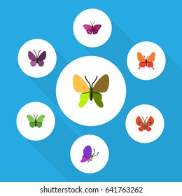 Flat Moth Set Of Summer Insect, Butterfly, Archippus And Other Vector Objects. Also Includes Archippus, Milkweed, Insect Elements.