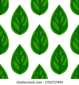 Flat natural food seamless pattern. Fresh green basil leaf isolated on white background texture for print, paper, kitchen design, fabric, cafe decor, wrap, backgrounds, menu, ads. Vector illustration