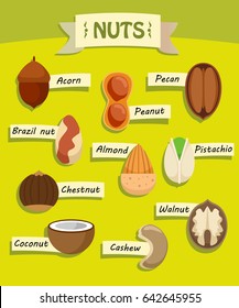 Flat natural nuts elements collection of different sorts on light background isolated vector illustration