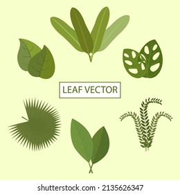 Flat of nature leaf set. Flat style leaf plant nature isolated in the solid background.