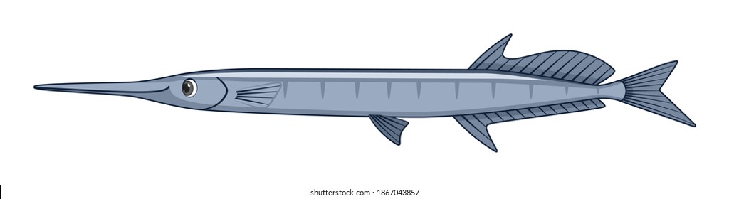 Flat needlefish fish on a white background. Cartoon style vector illustration