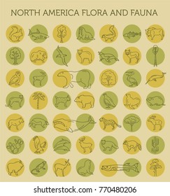 Flat North America flora and fauna  elements. Animals, birds and sea life simple line icon set. Vector illustration