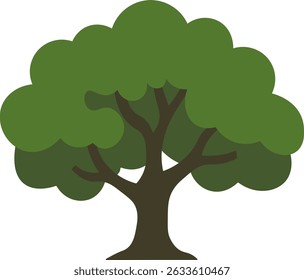 Flat Oak Tree Illustration – Nature Element