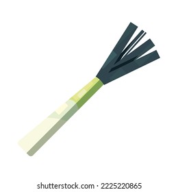 flat onion design over white