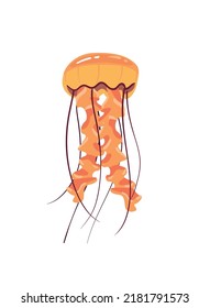 flat orange jellyfish over white