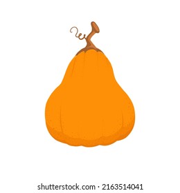 Flat orange pumpkin. Design element for Thanksgiving day or Halloween. Vector illustration isolated from background. Symbol of autumn.