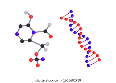 Flat organic inorganic chemical molecules and bonds, dna chain isolated on white. Compounds and particles research. Chemistry, biochemistry, medicine and science. Vector cartoon illustration