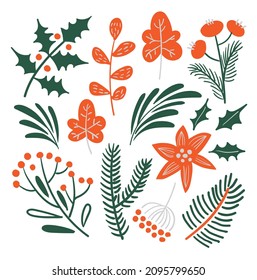 flat ornament of flowers and leaves, a set of winter plants