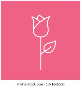 Flat outline flower - vector icons isolated; white graphic sign on pink background in minimalistic style. Vector illustration for cards, posters, flyers, banners, prints, web.