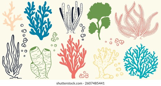 Flat outline seaweed and coral. Abstract organic shape, underwater plant, Matisse element, cute sea drawing. Cartoon sea floral set. Trendy minimal vector set.