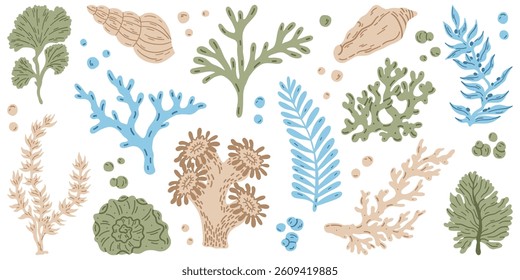 Flat outline seaweed and coral. Abstract organic shape, underwater plant, Matisse element, cute sea drawing. Cartoon sea floral set. Trendy minimal vector set.