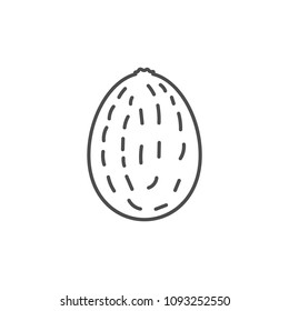 Flat outlined kiwi icon illustration for design
